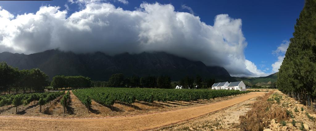 The Terraces @ Chambray Estate Hotell Franschhoek Exteriör bild