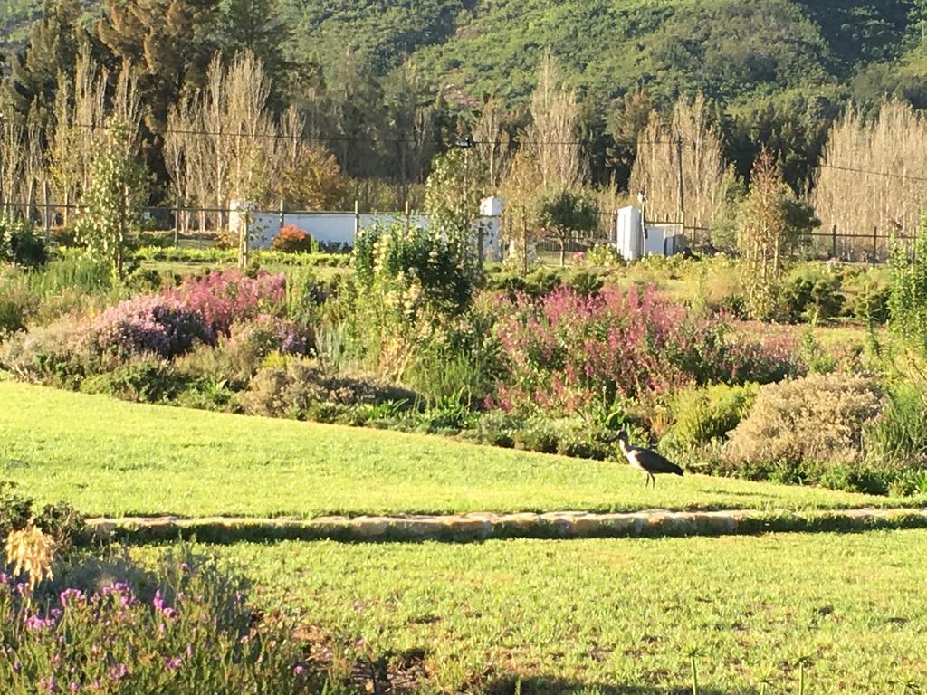 The Terraces @ Chambray Estate Hotell Franschhoek Exteriör bild
