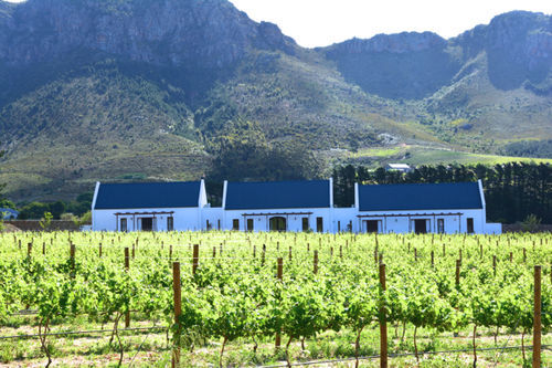 The Terraces @ Chambray Estate Hotell Franschhoek Exteriör bild